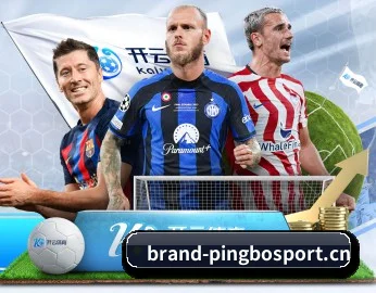 平博平台 APP 界面